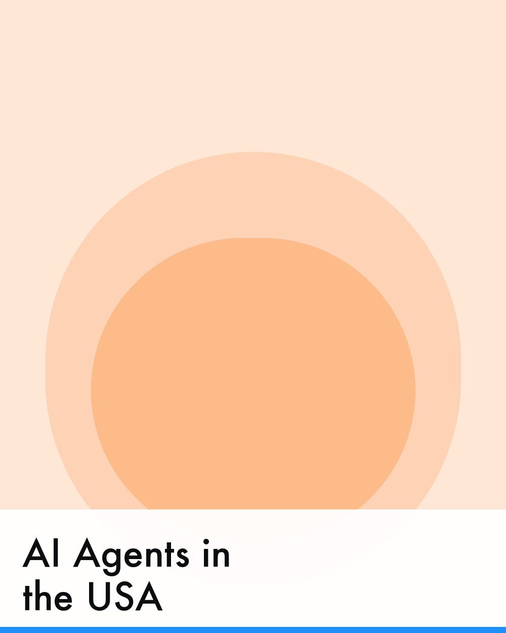 AI Agents in the USA