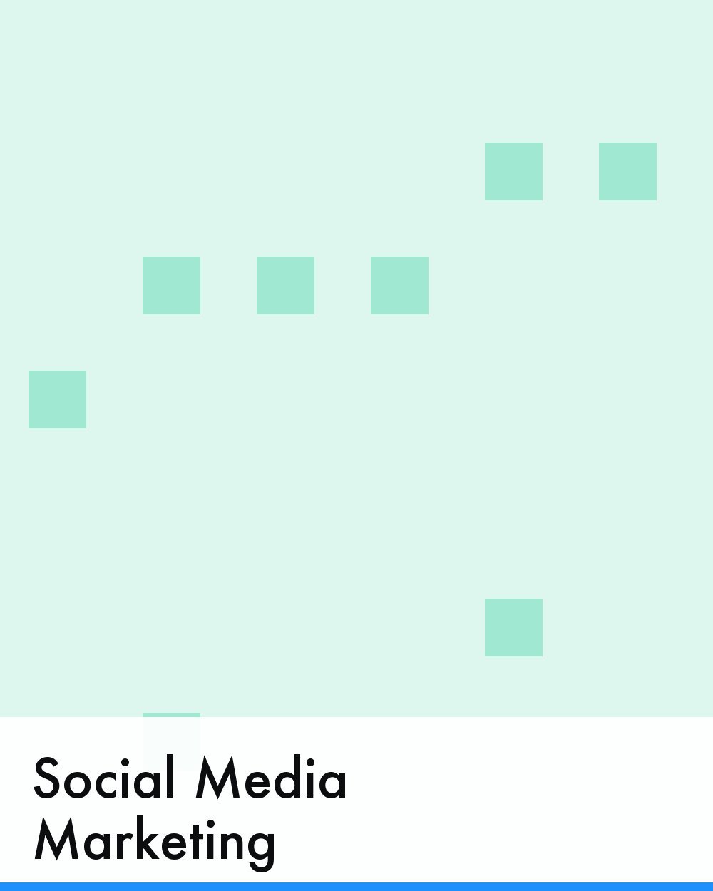 Social Media Marketing in the USA