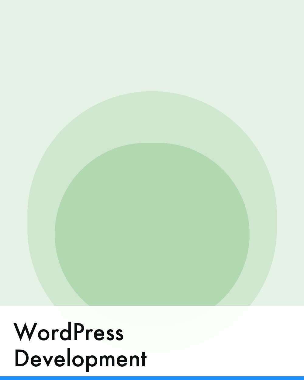 WordPress Development in Riyadh
