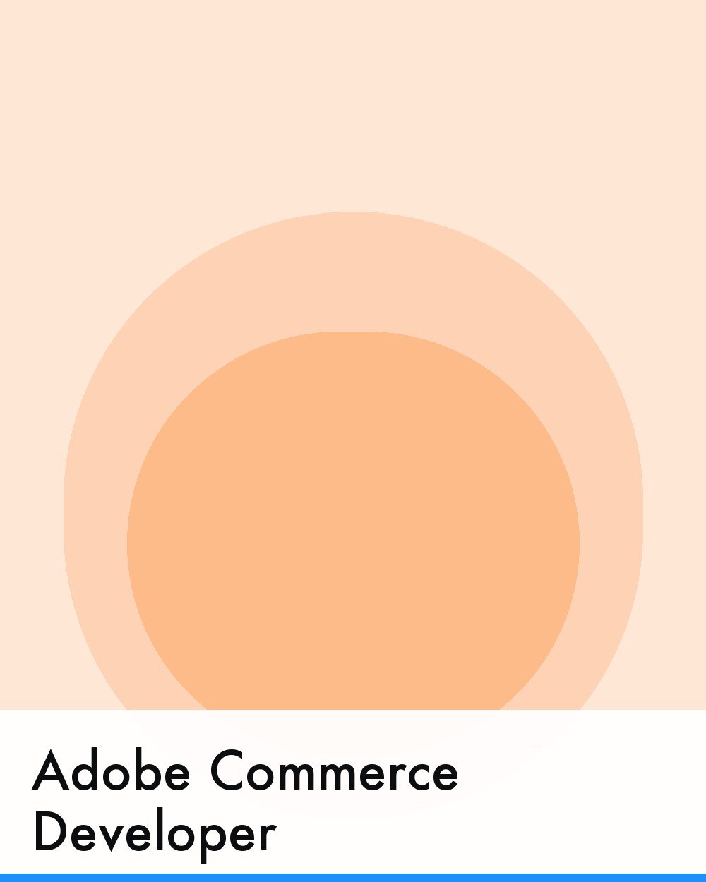 Adobe Commerce Developer