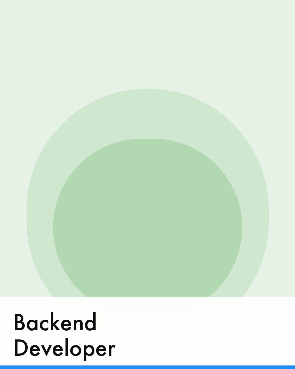Backend Developer