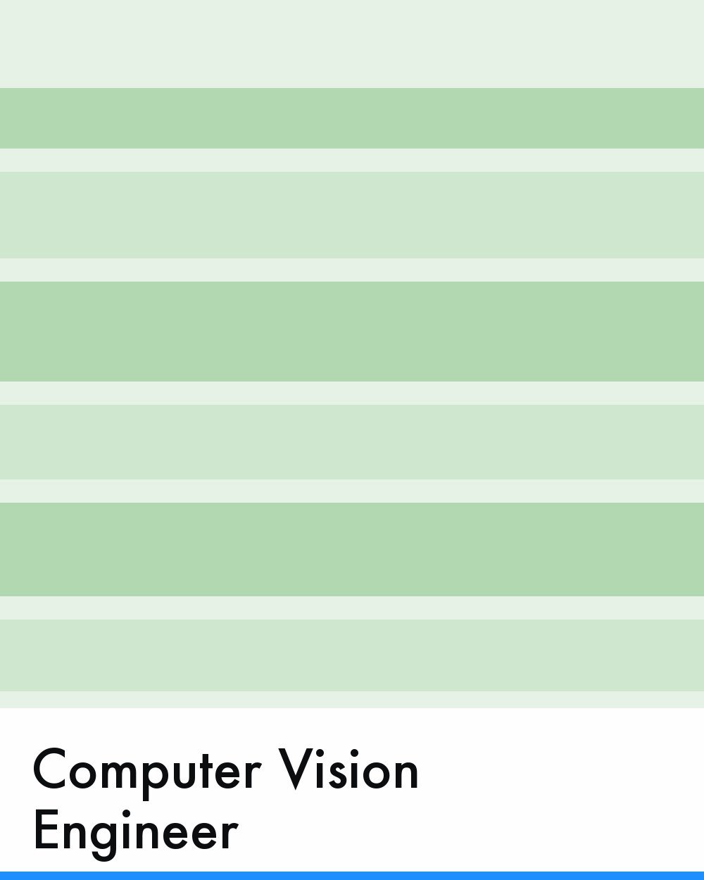 Computer Vision Engineer