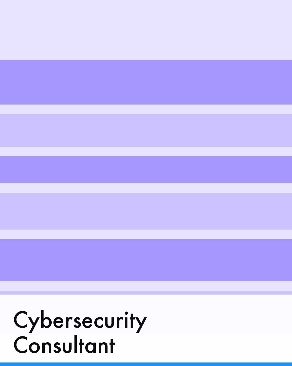 Cybersecurity Consultant