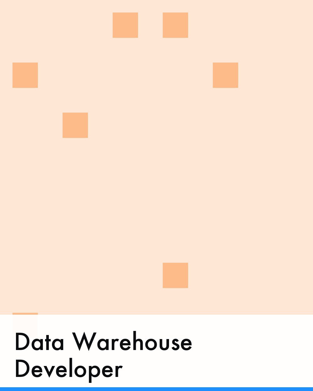 Data Warehouse Developer