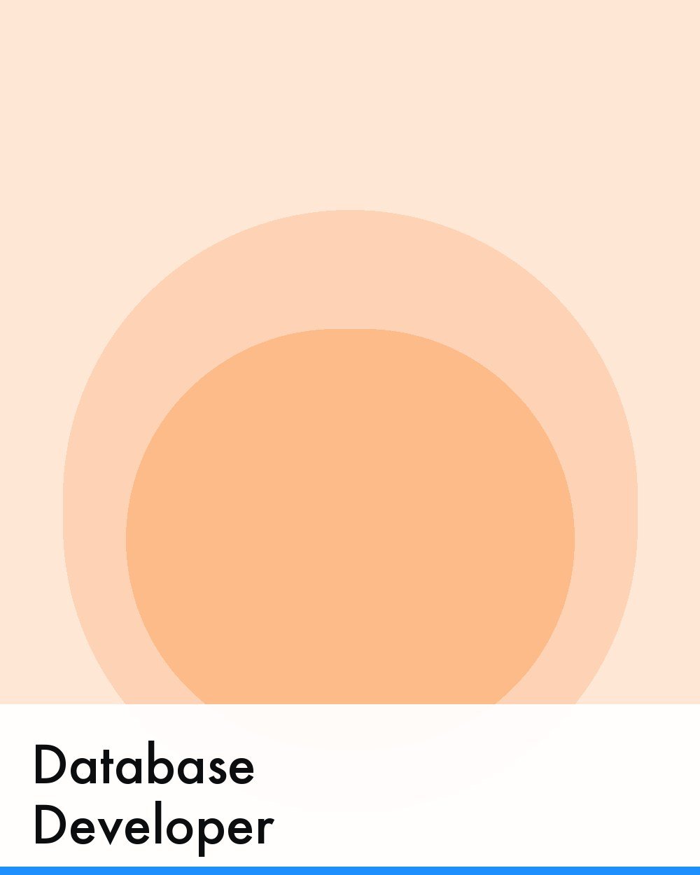 Database Developer