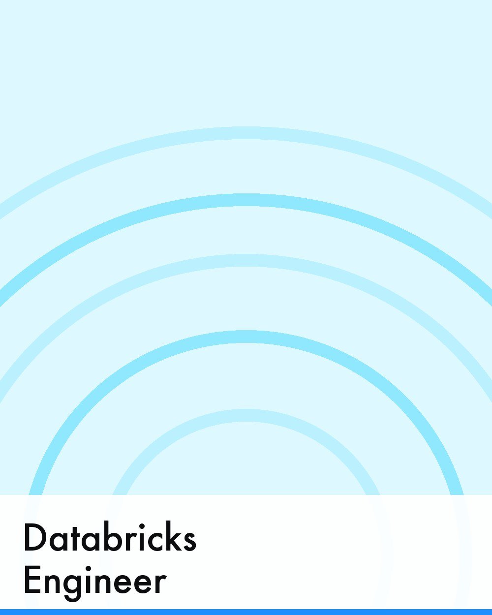 Databricks Engineer