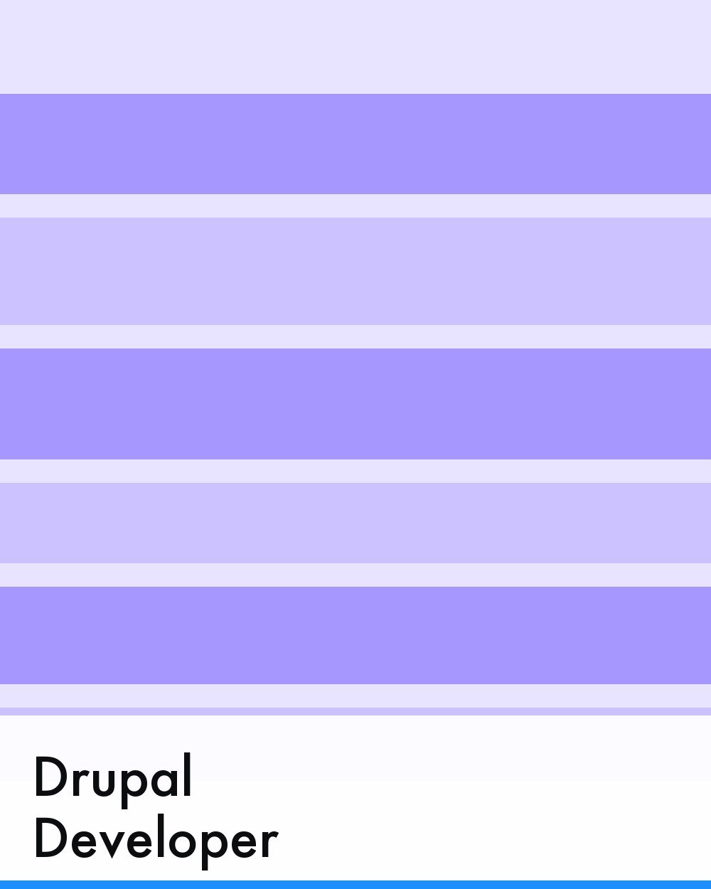Drupal Developer