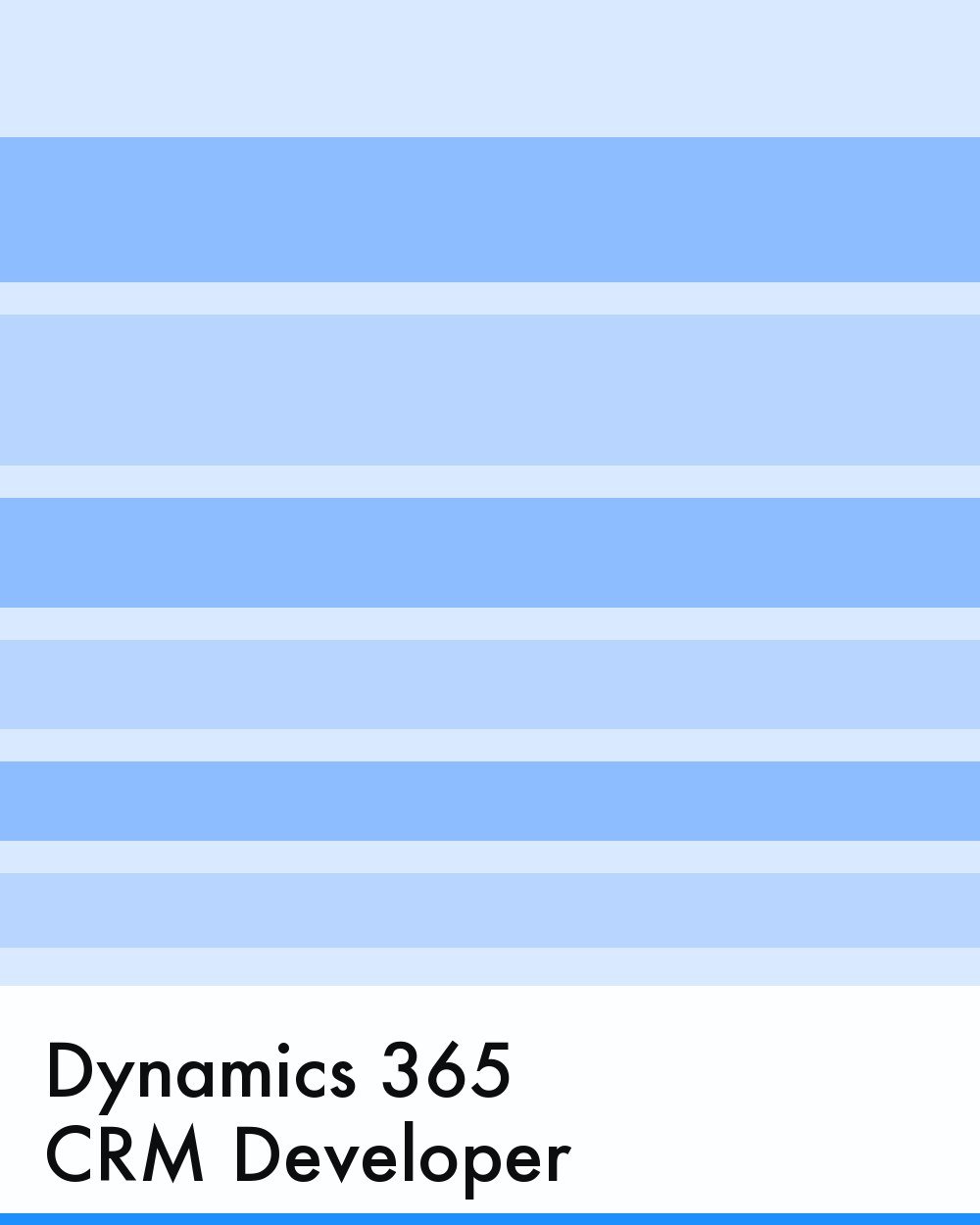 Dynamics 365 CRM Developer