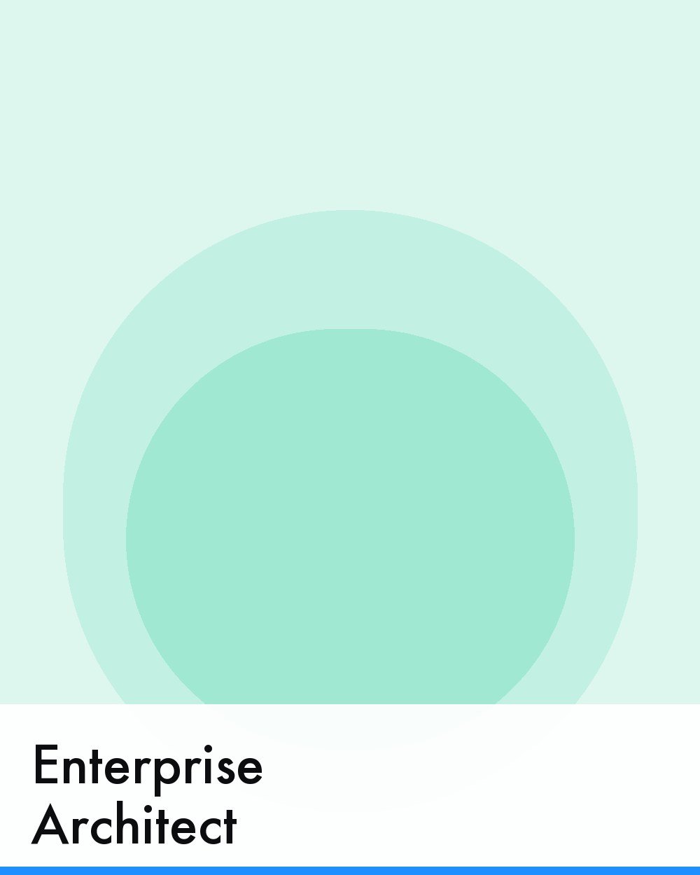 Enterprise Architect