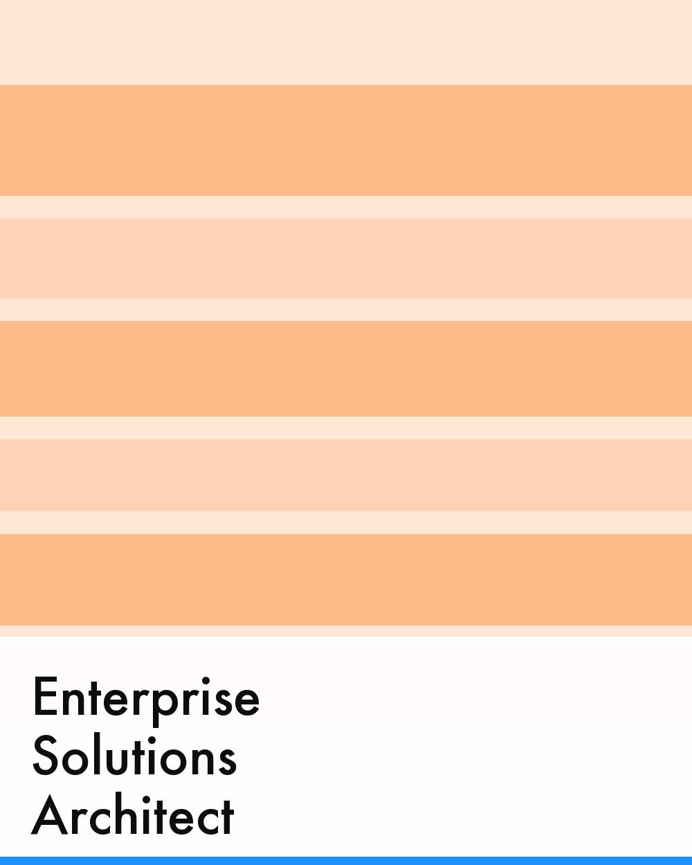 Enterprise Solutions Architect