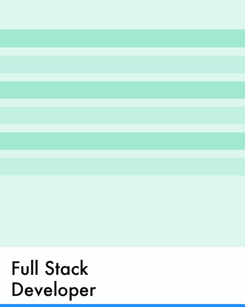Full-Stack Developer