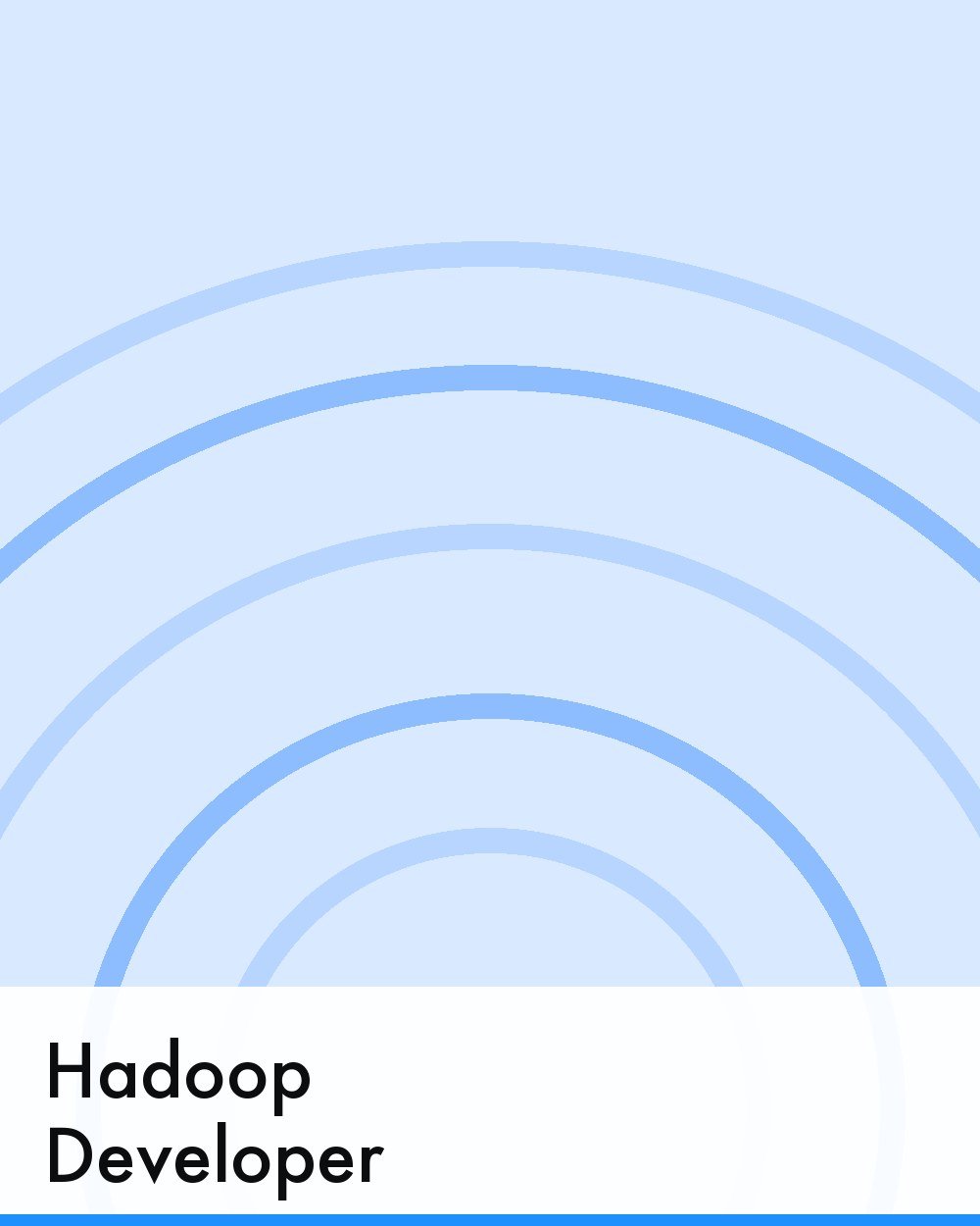 Hadoop Developer