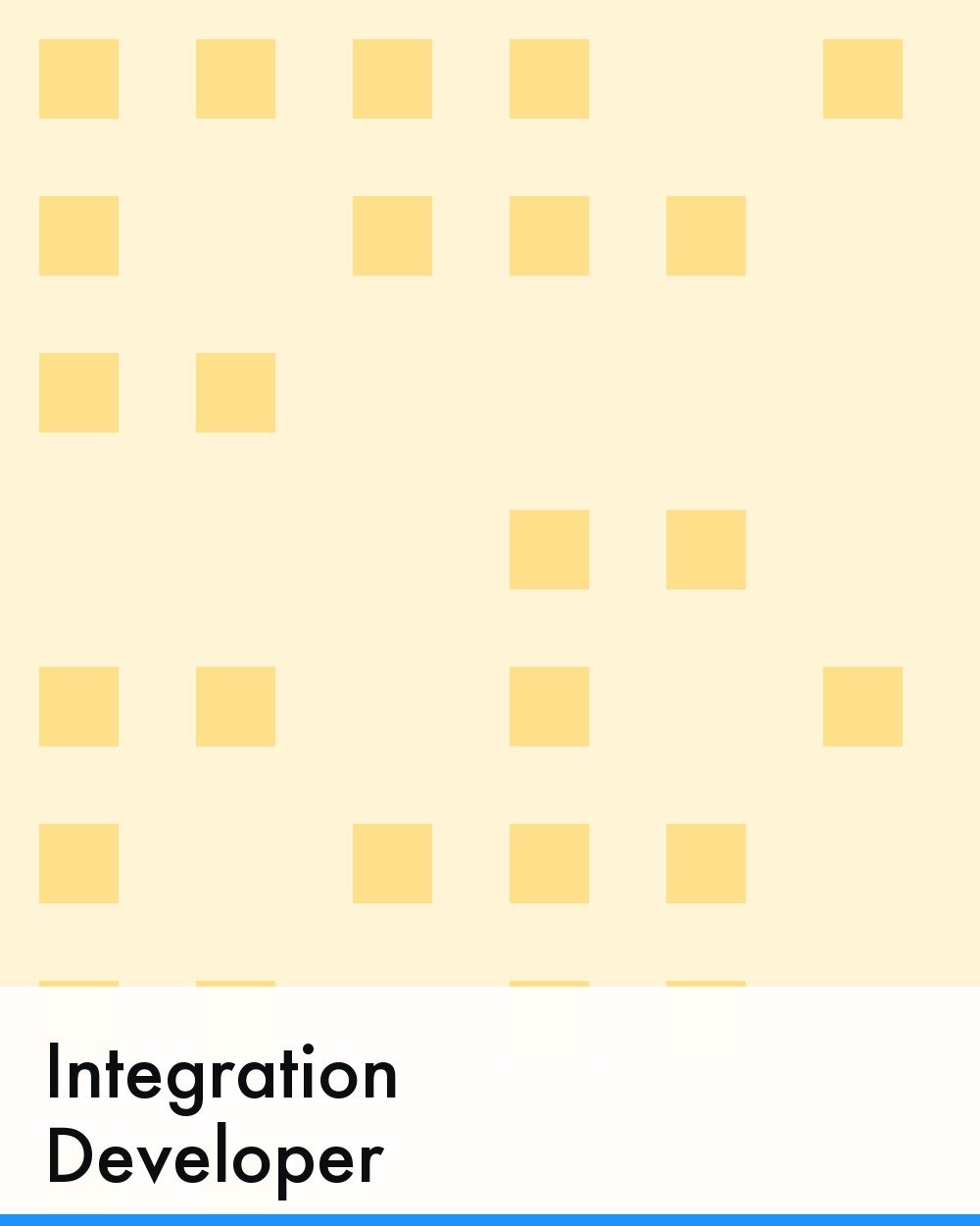 Integration Developer