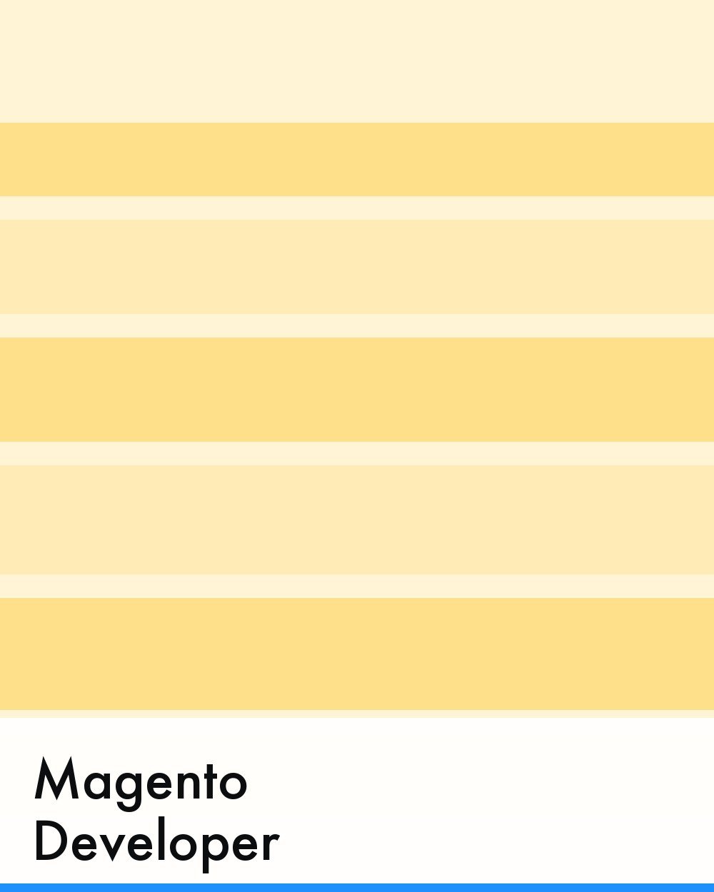 Magento Developer
