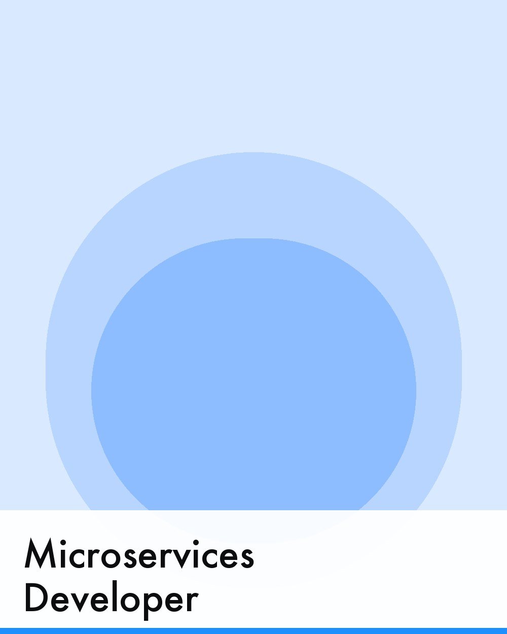 Microservices Developer