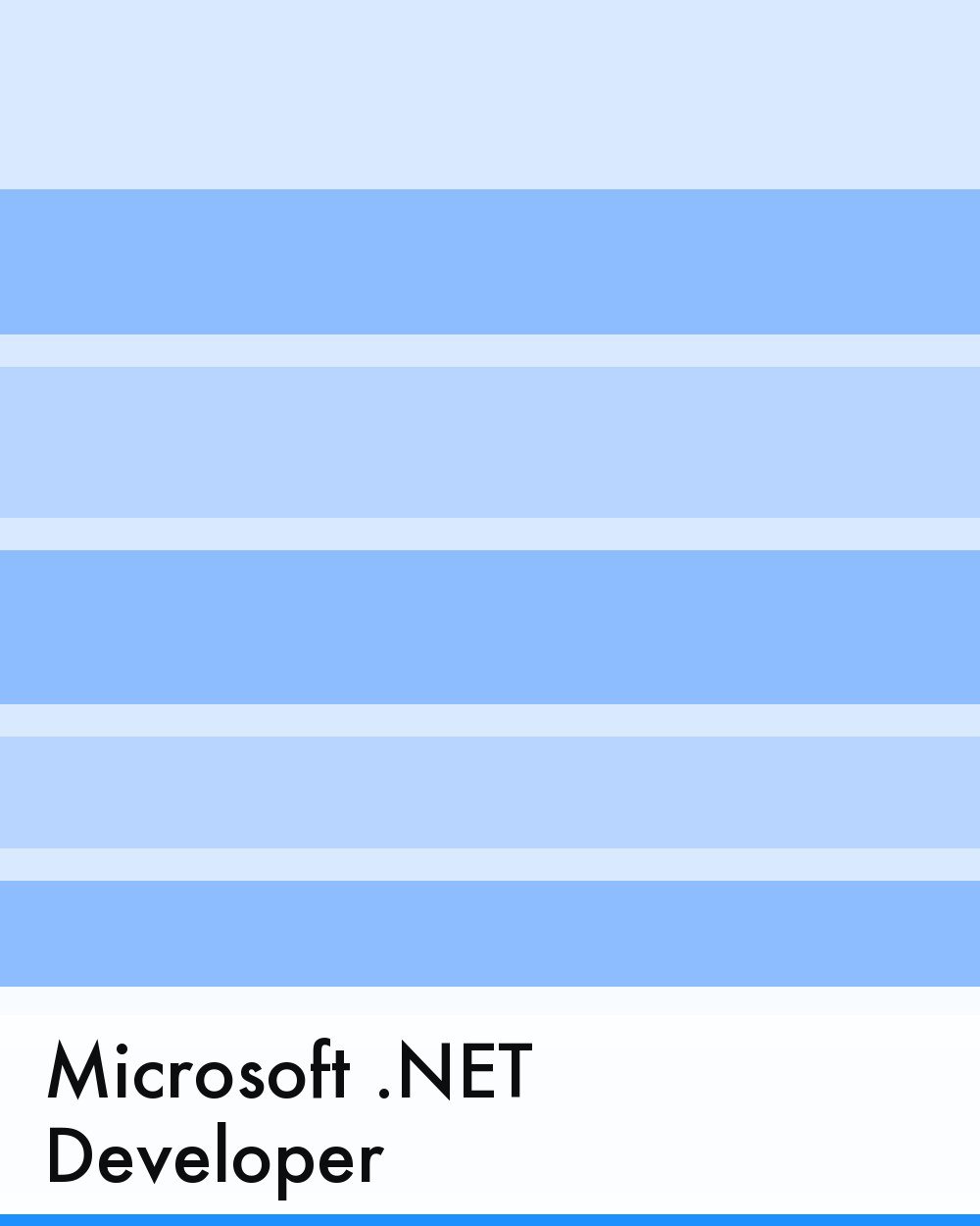 Microsoft .NET Developer