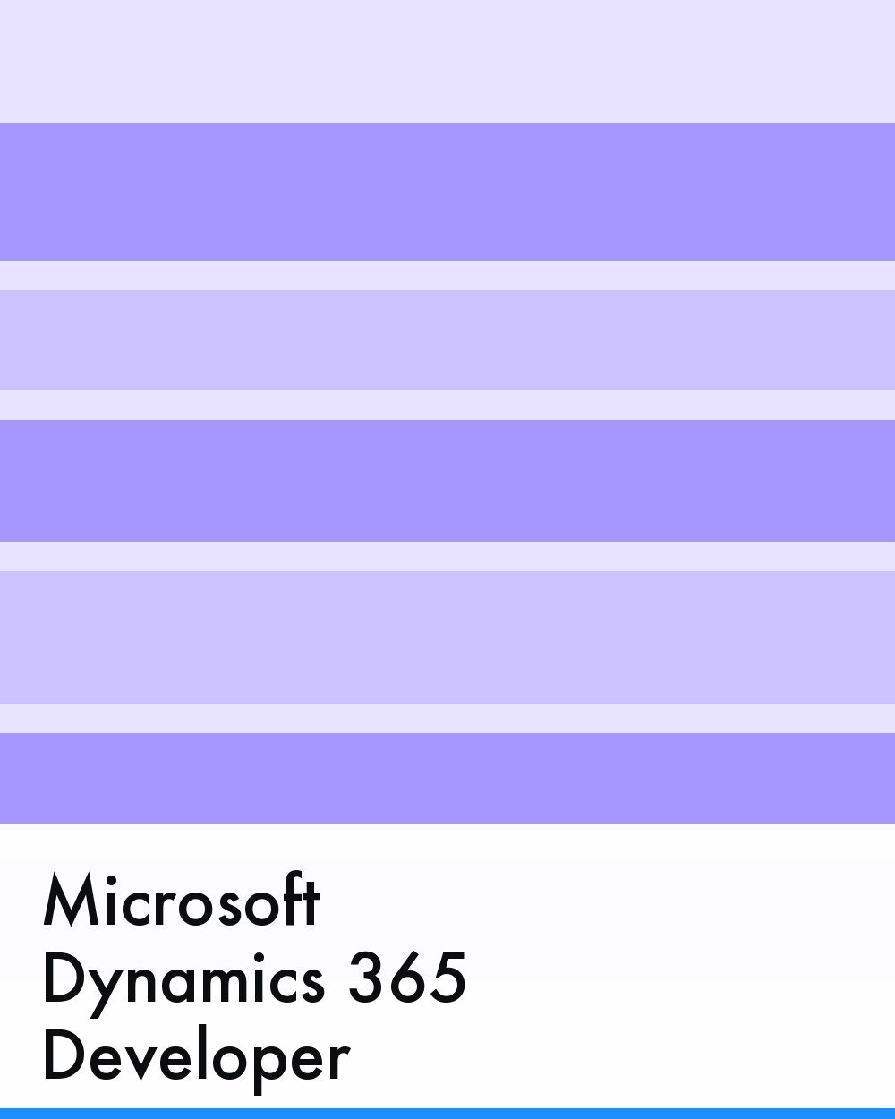 Microsoft Dynamics 365 Developer