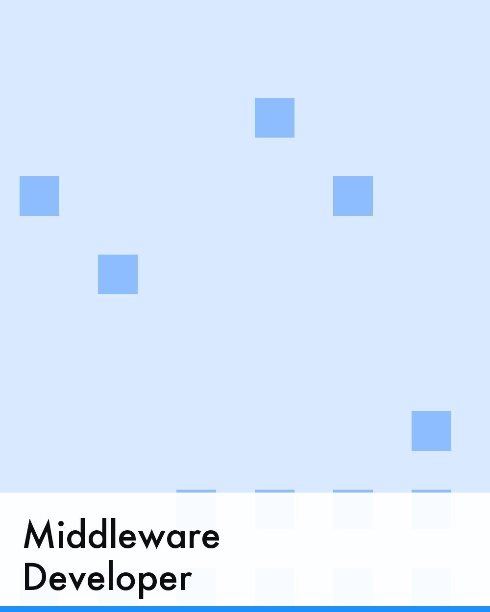 Middleware Developer