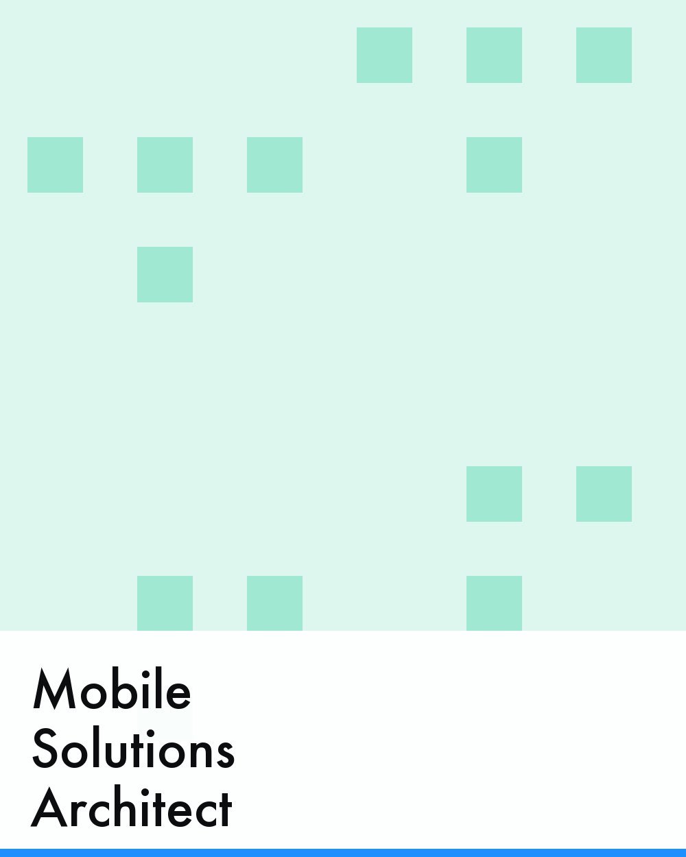 Mobile Solutions Architect