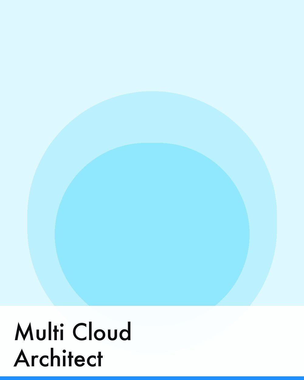 Multi Cloud Architect