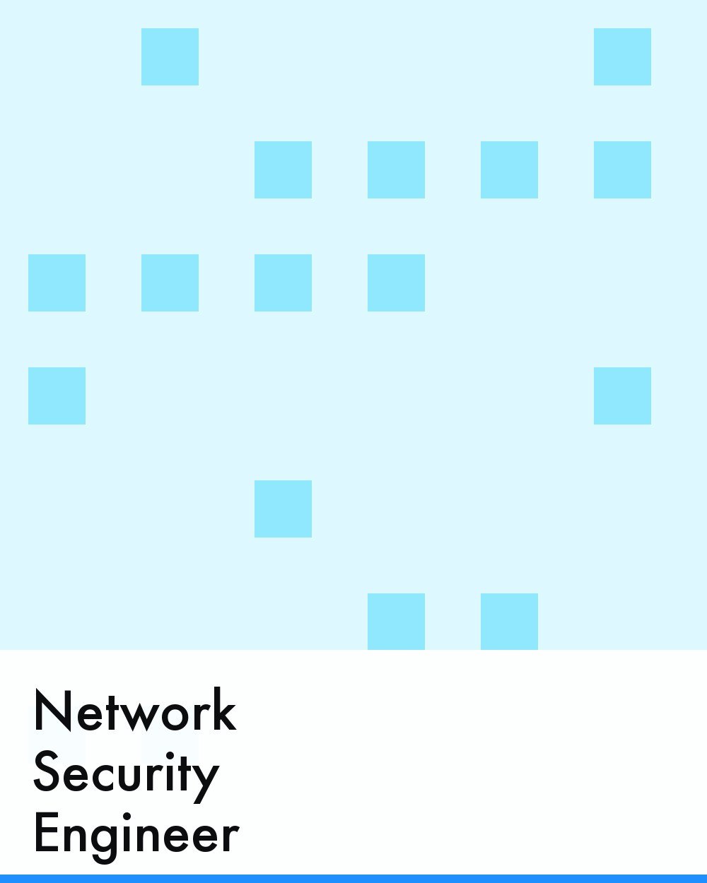 Network Security Engineer