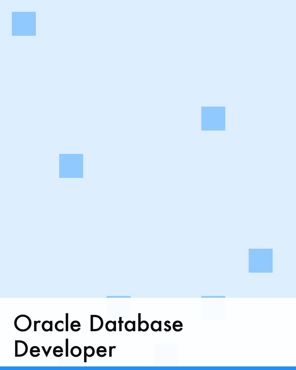 Oracle Database Developer