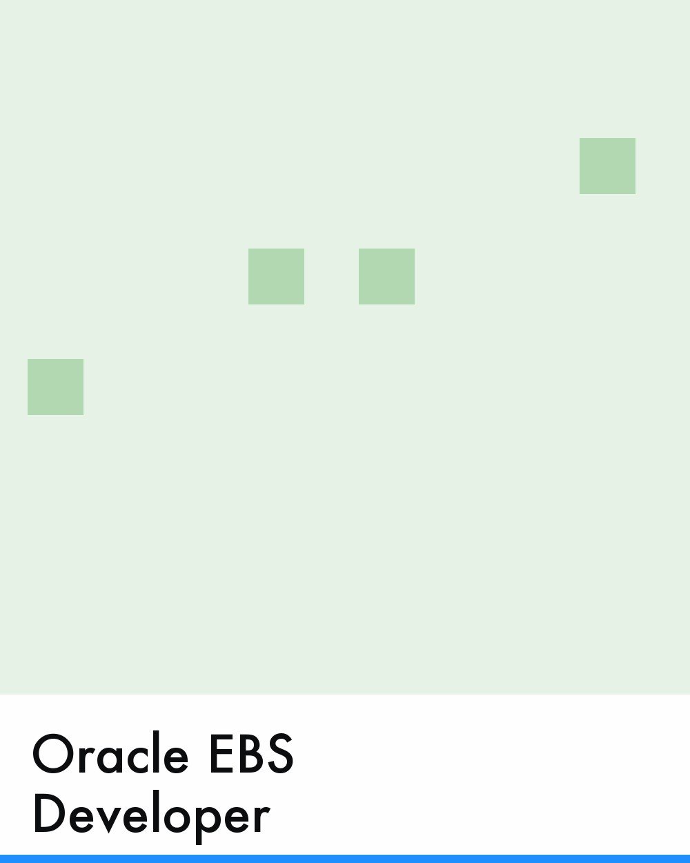 Oracle EBS Developer