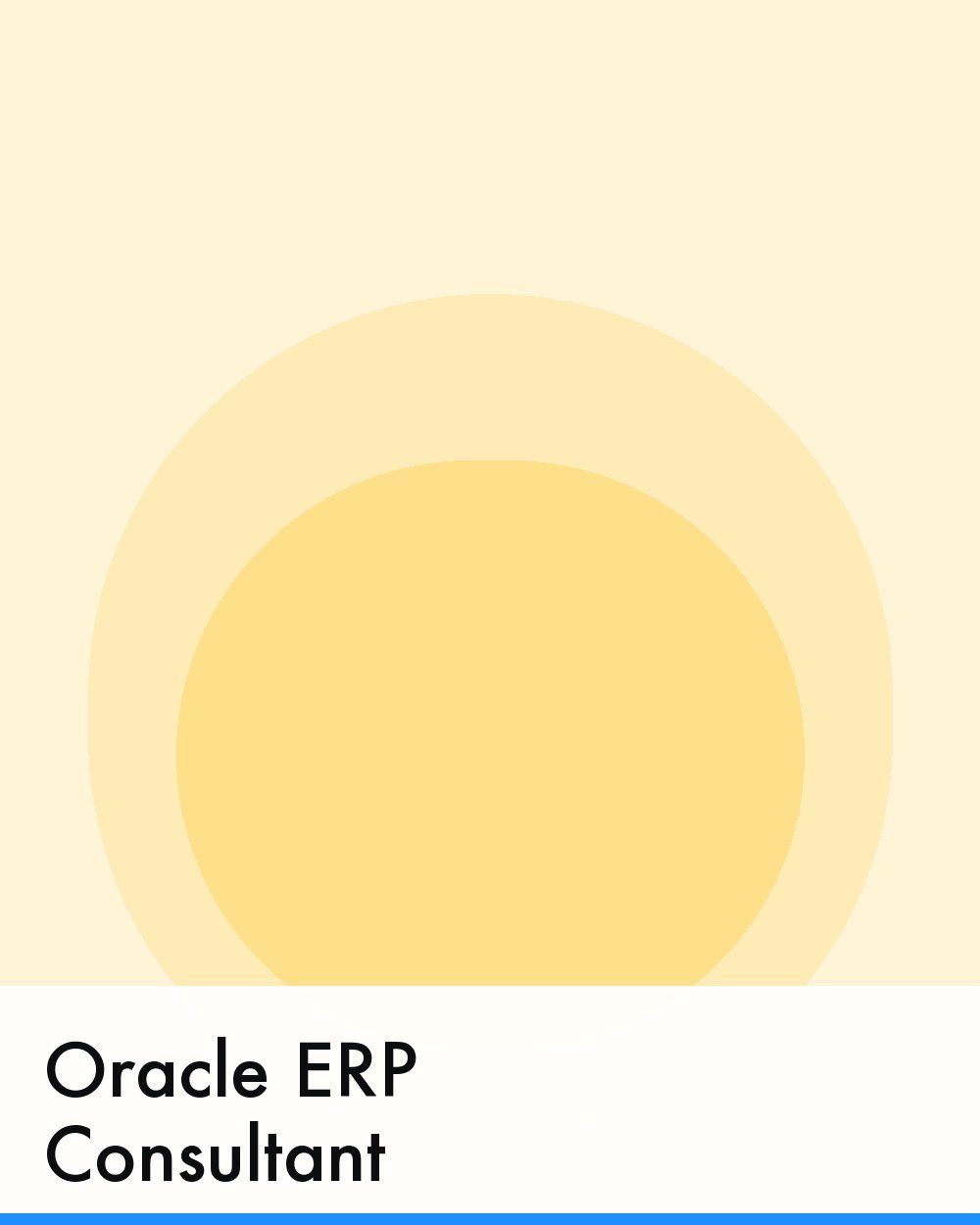 Oracle ERP Consultant