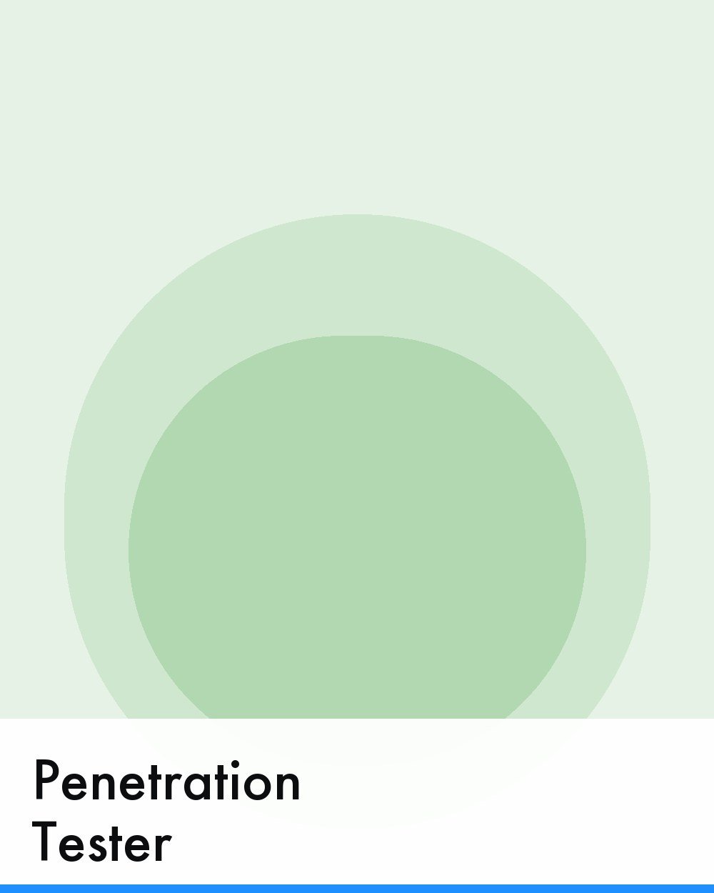 Penetration Tester