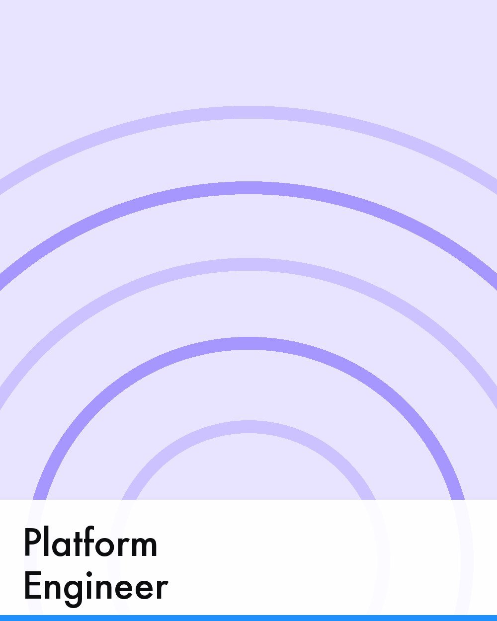 Platform Engineer