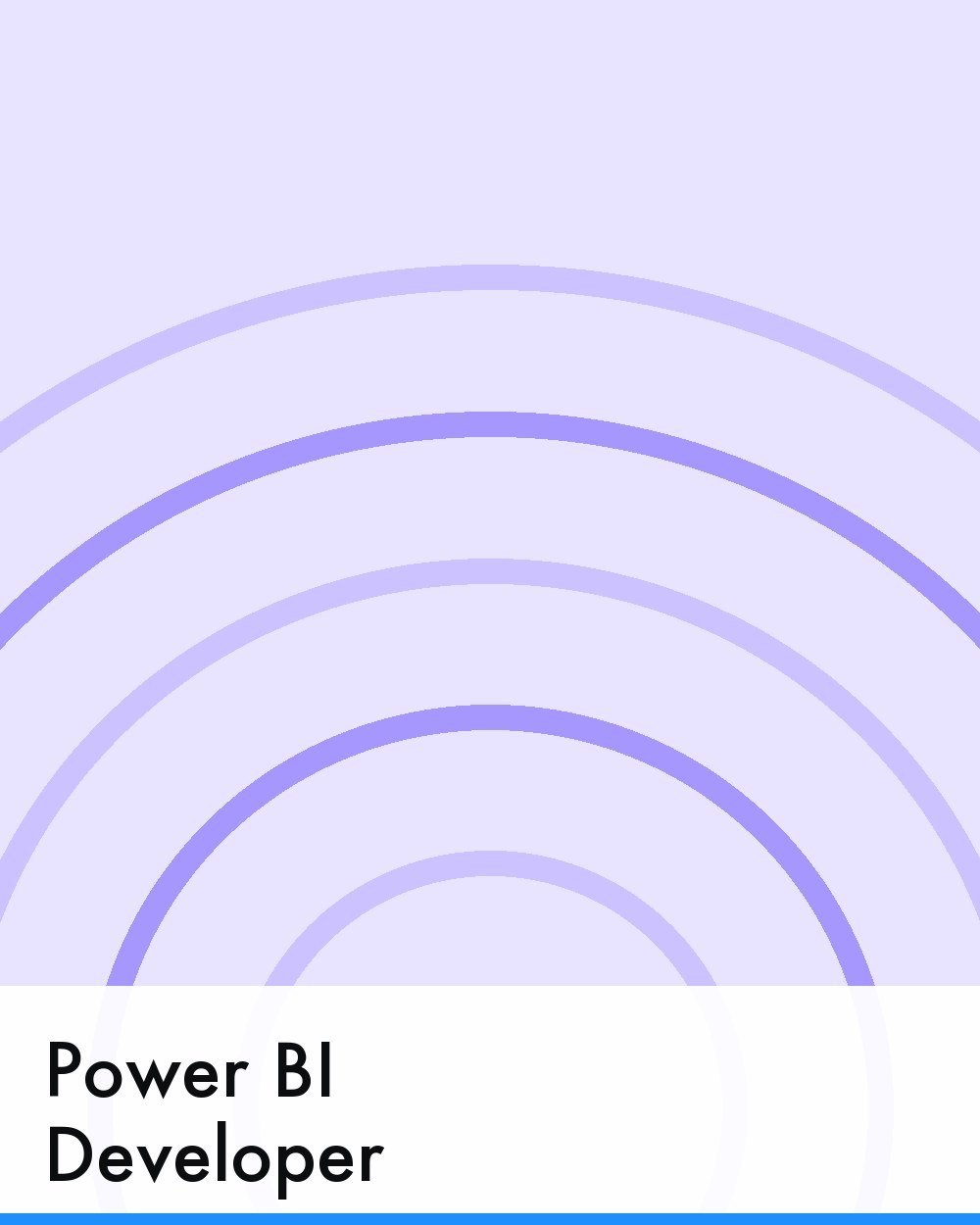 Power BI Developer