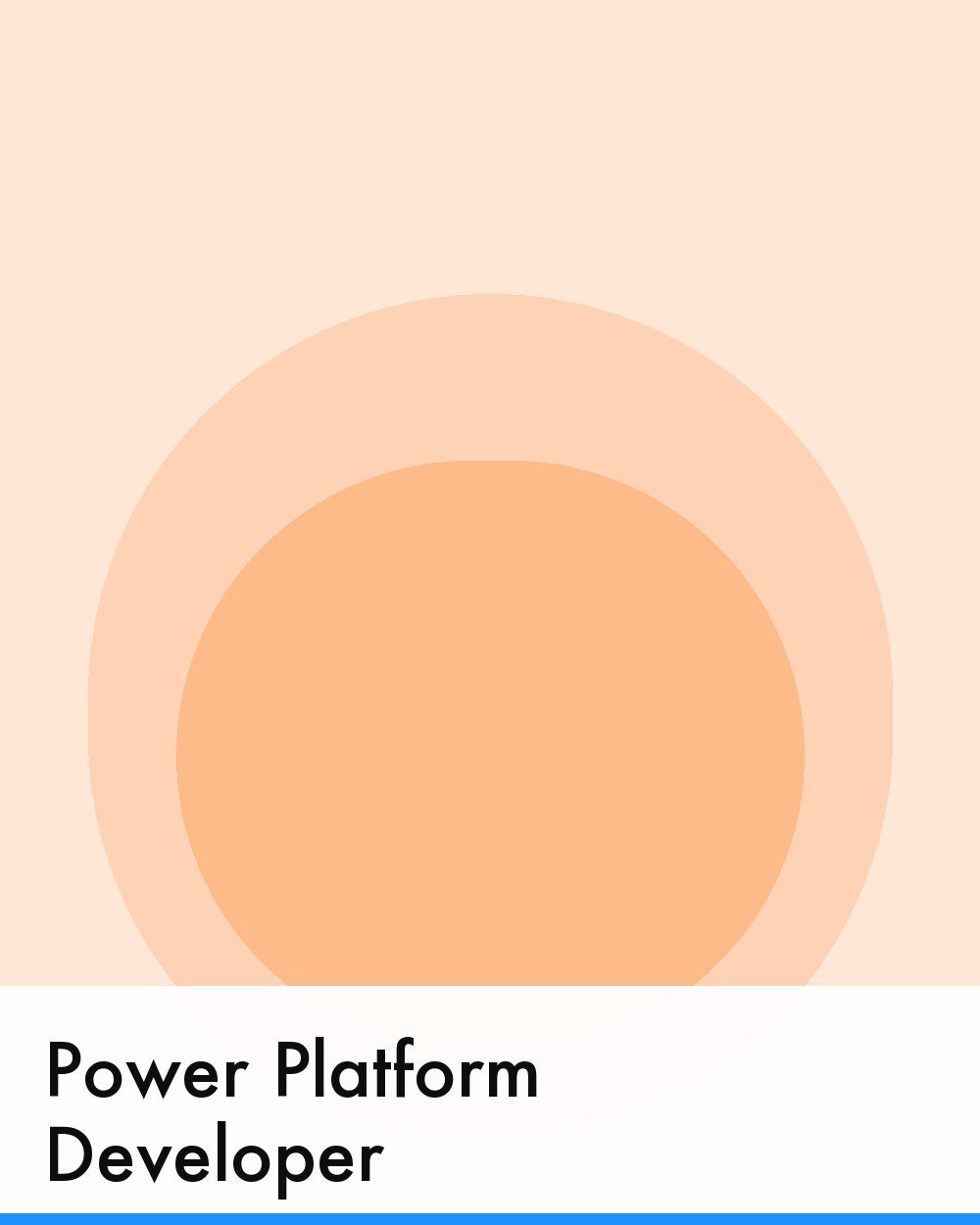 Power Platform Developer