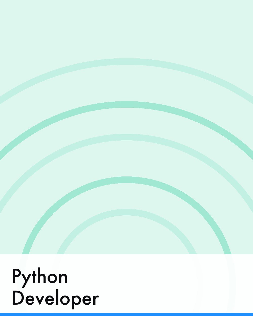 Python Developer