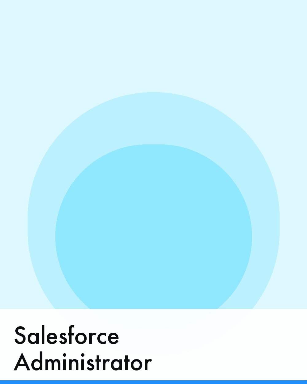 Salesforce Administrator
