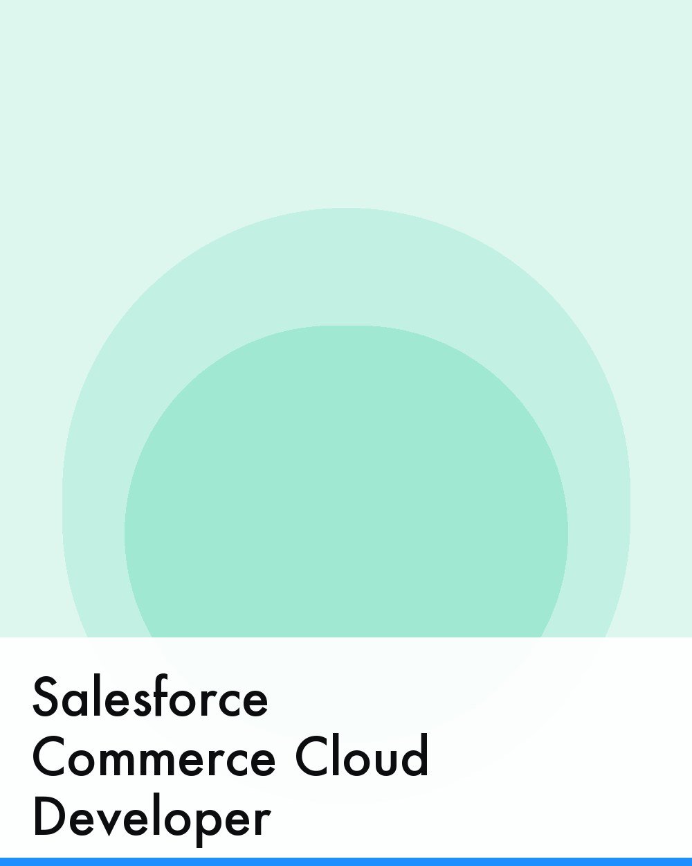 Salesforce Commerce Cloud Developer