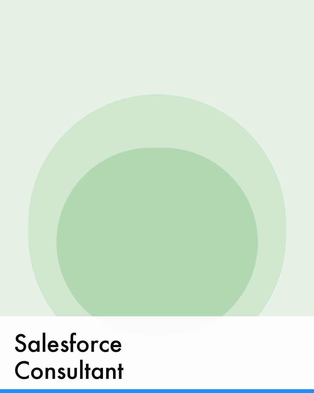 Salesforce Consultant