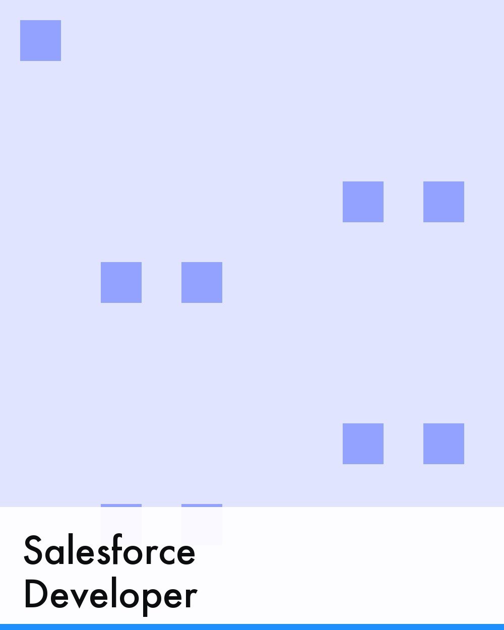Salesforce Developer