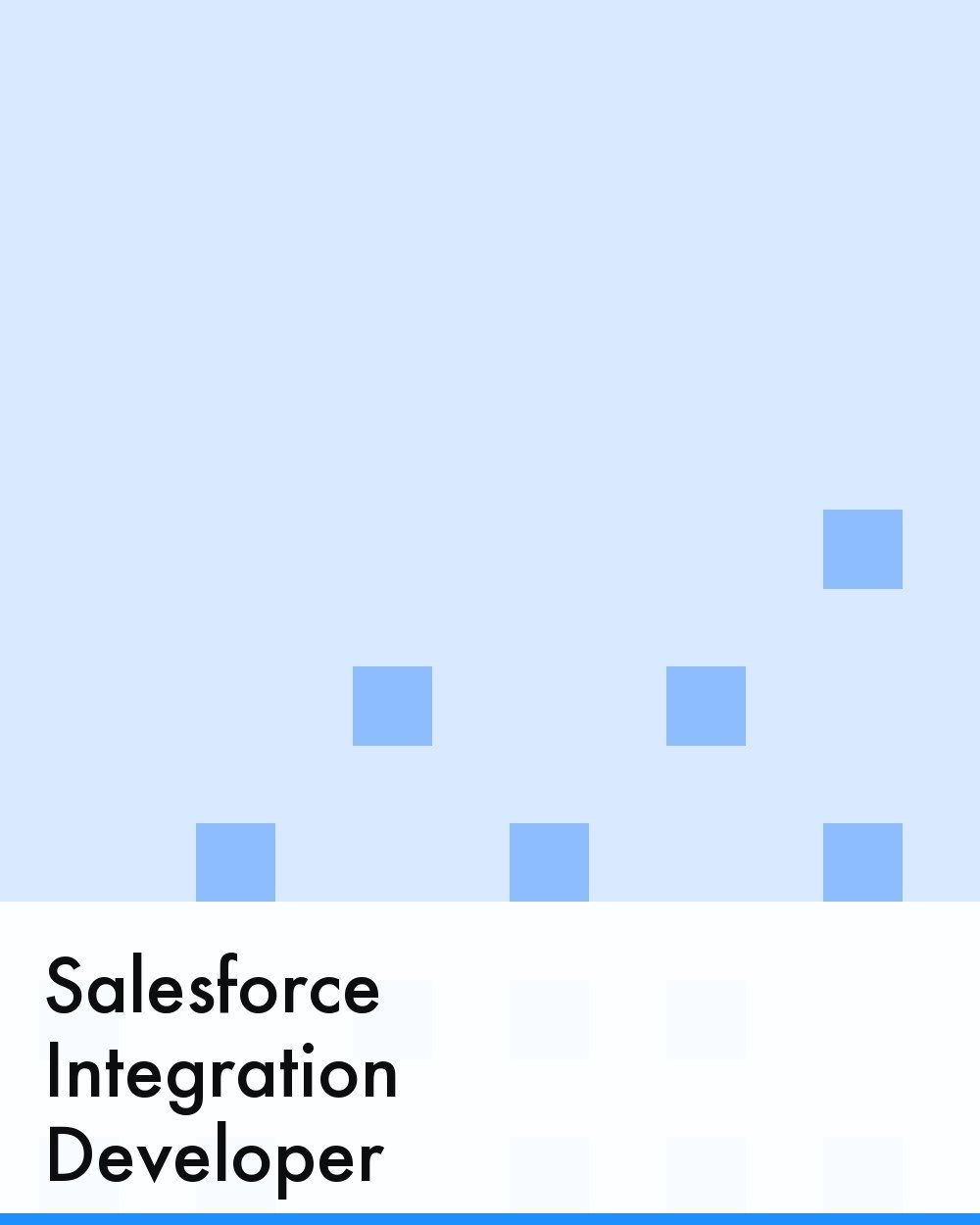 Salesforce Integration Developer