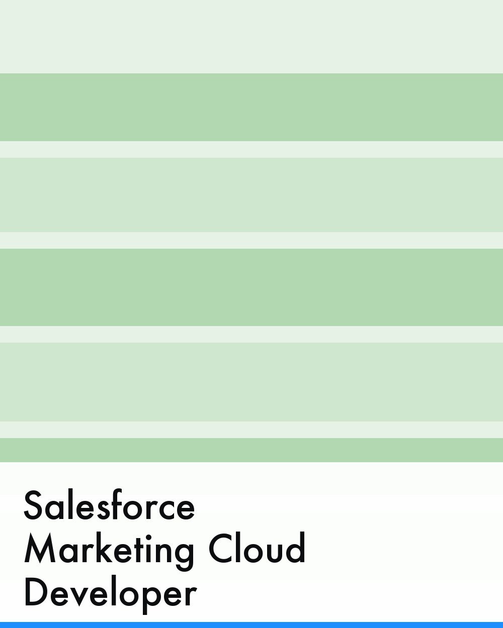 Salesforce Marketing Cloud Developer