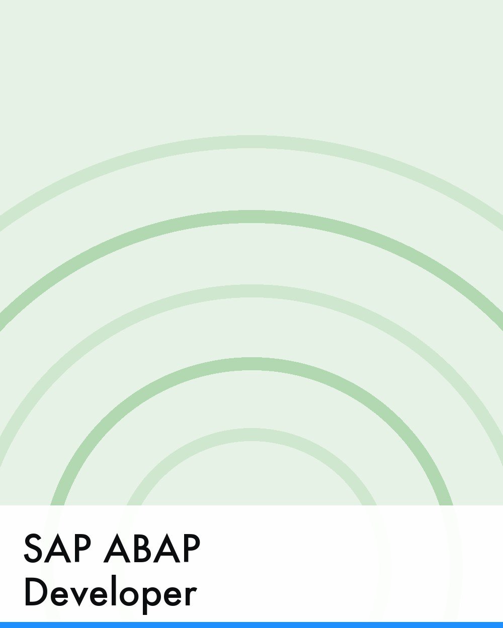SAP ABAP Developer