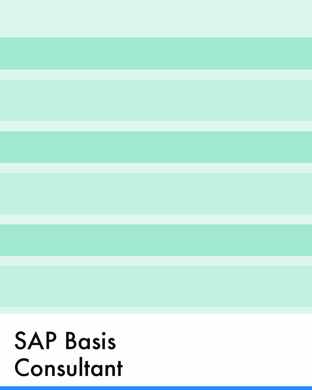 SAP Basis Consultant