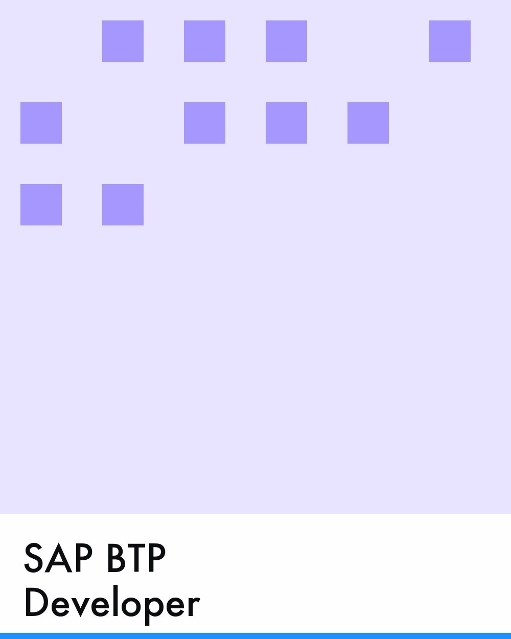 SAP BTP Developer