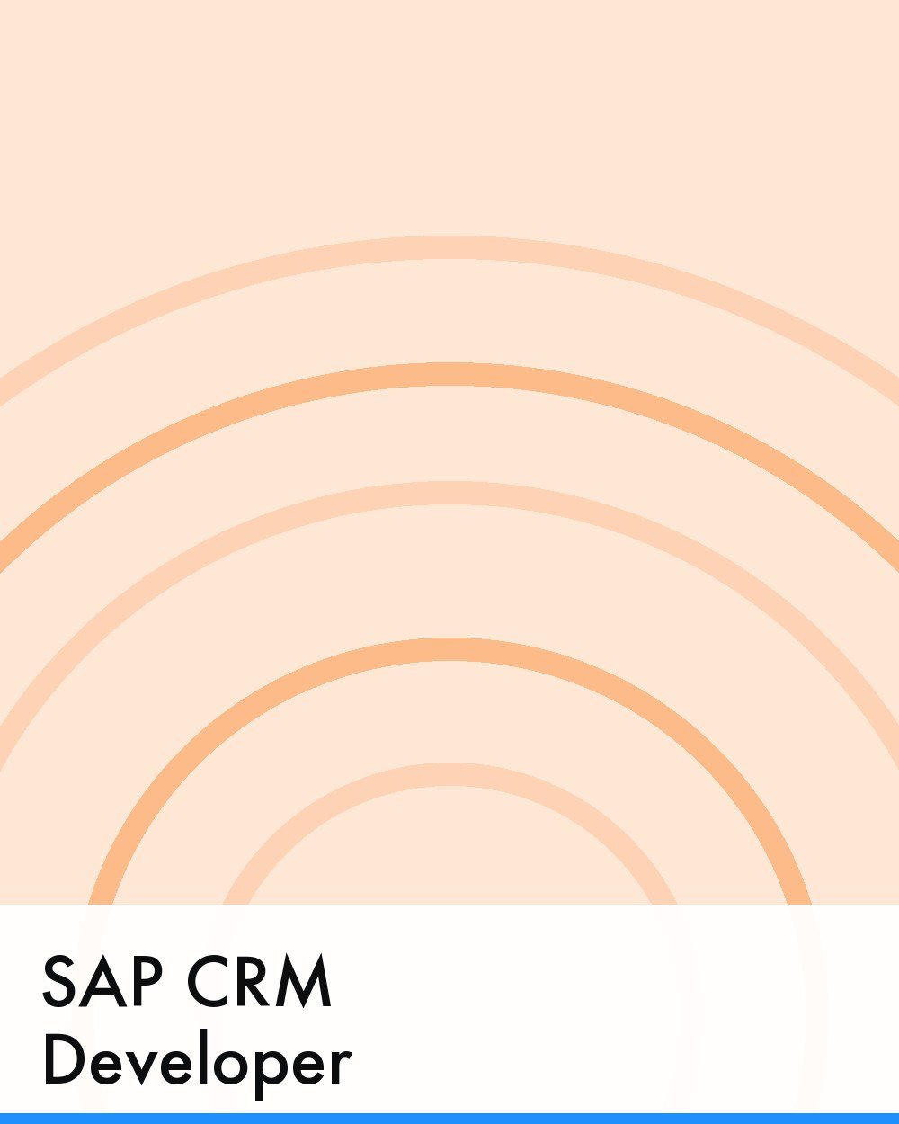 SAP CRM Developer