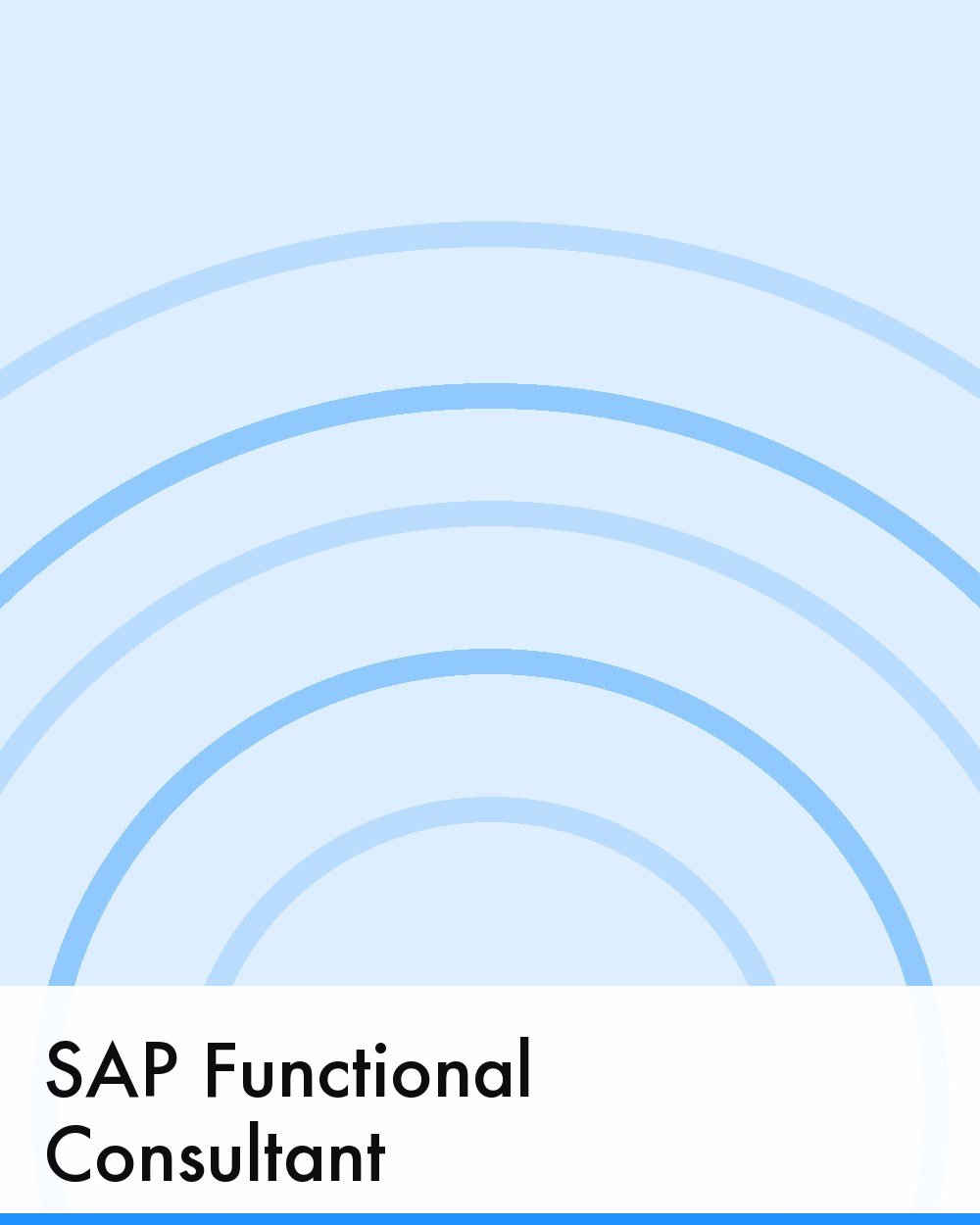 SAP Functional Consultant