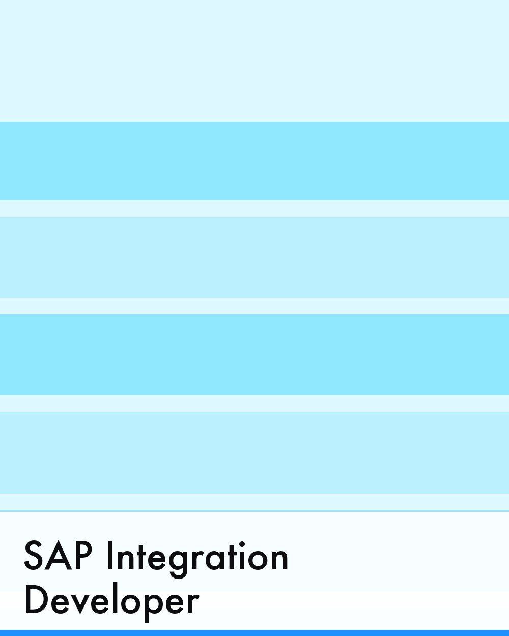 SAP Integration Developer