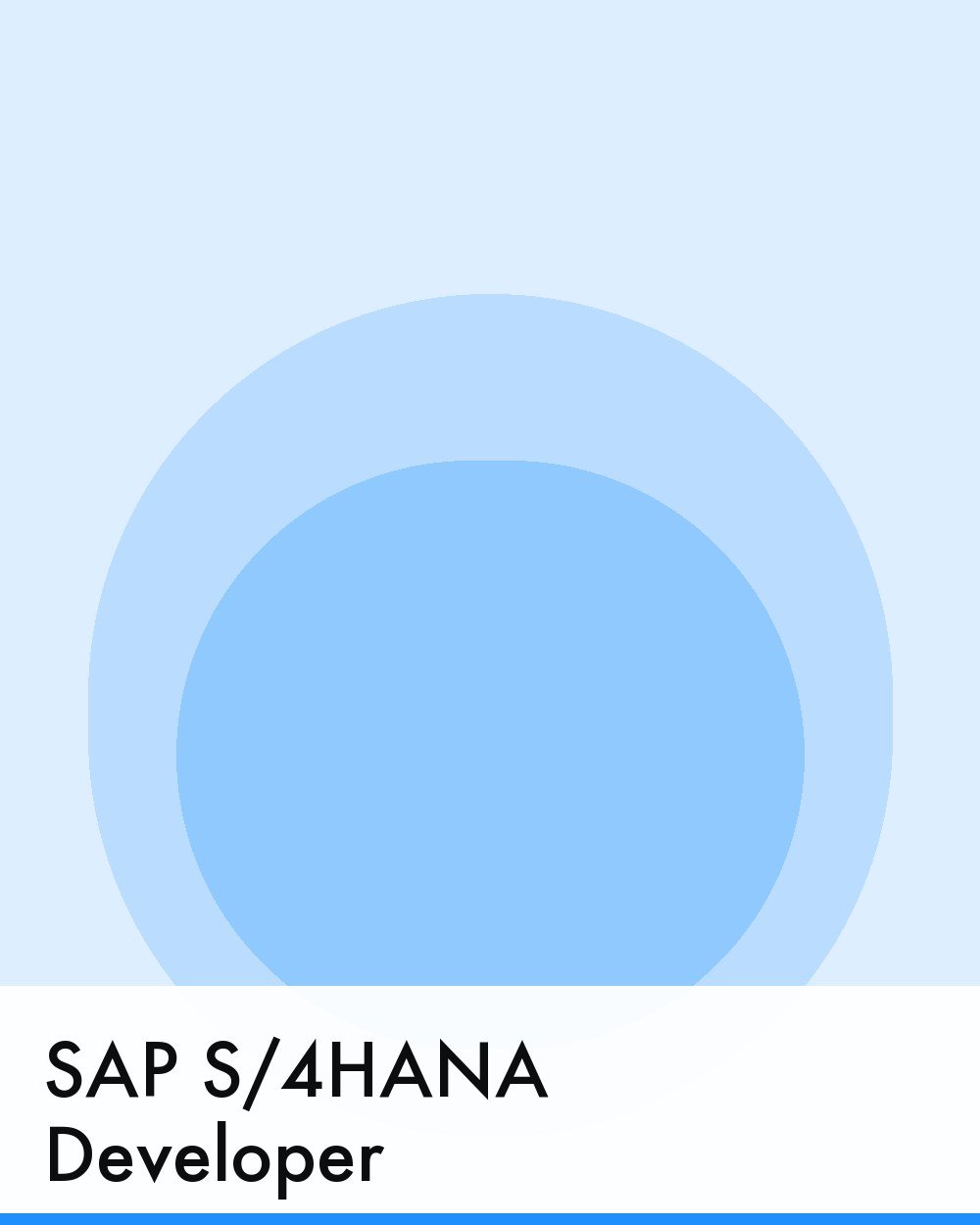 SAP S/4HANA Developer