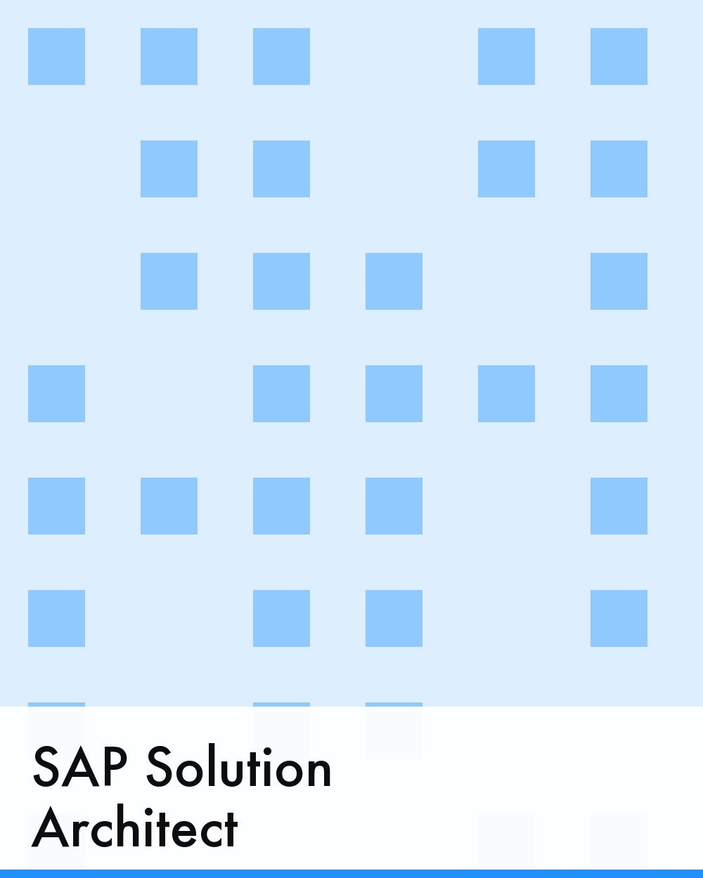 SAP Solution Architect