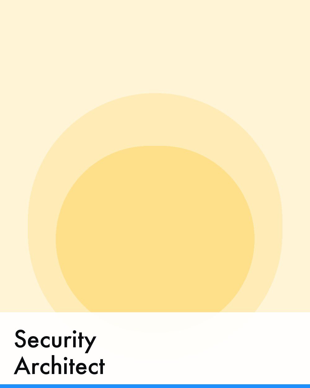 Security Architect