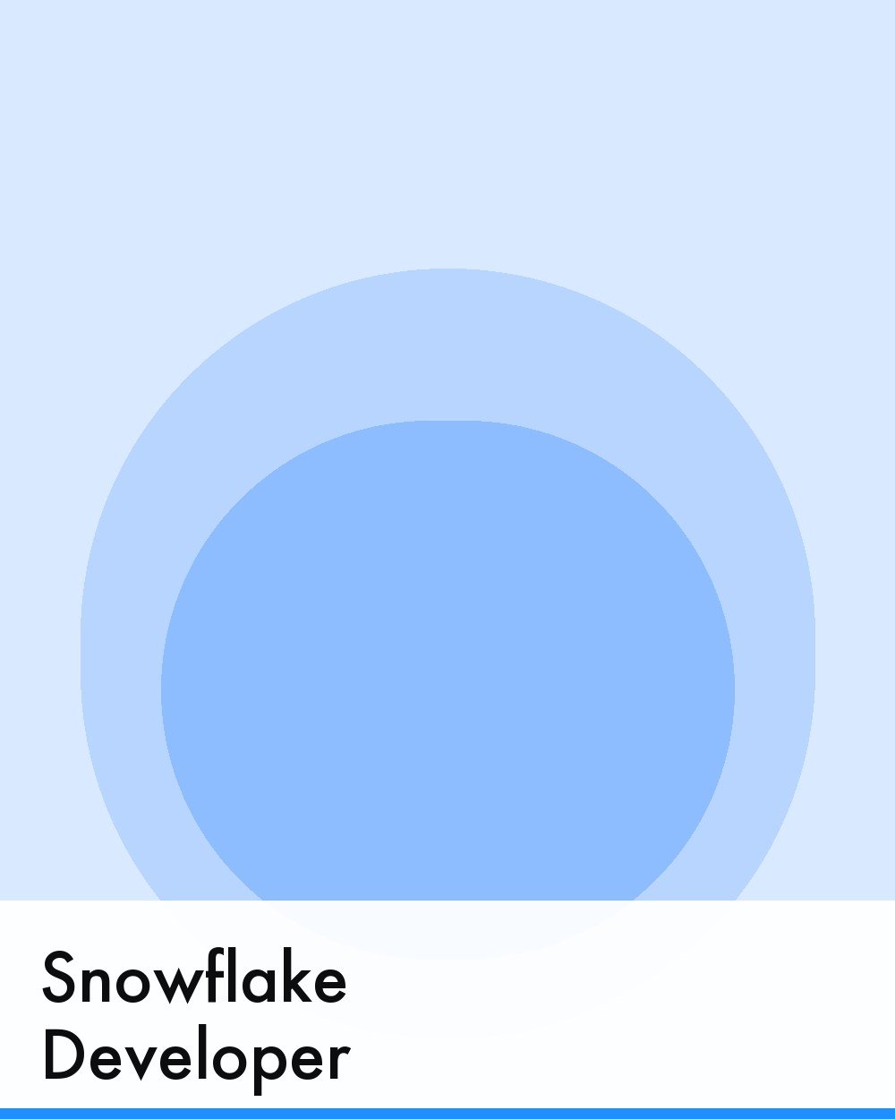 Snowflake Developer