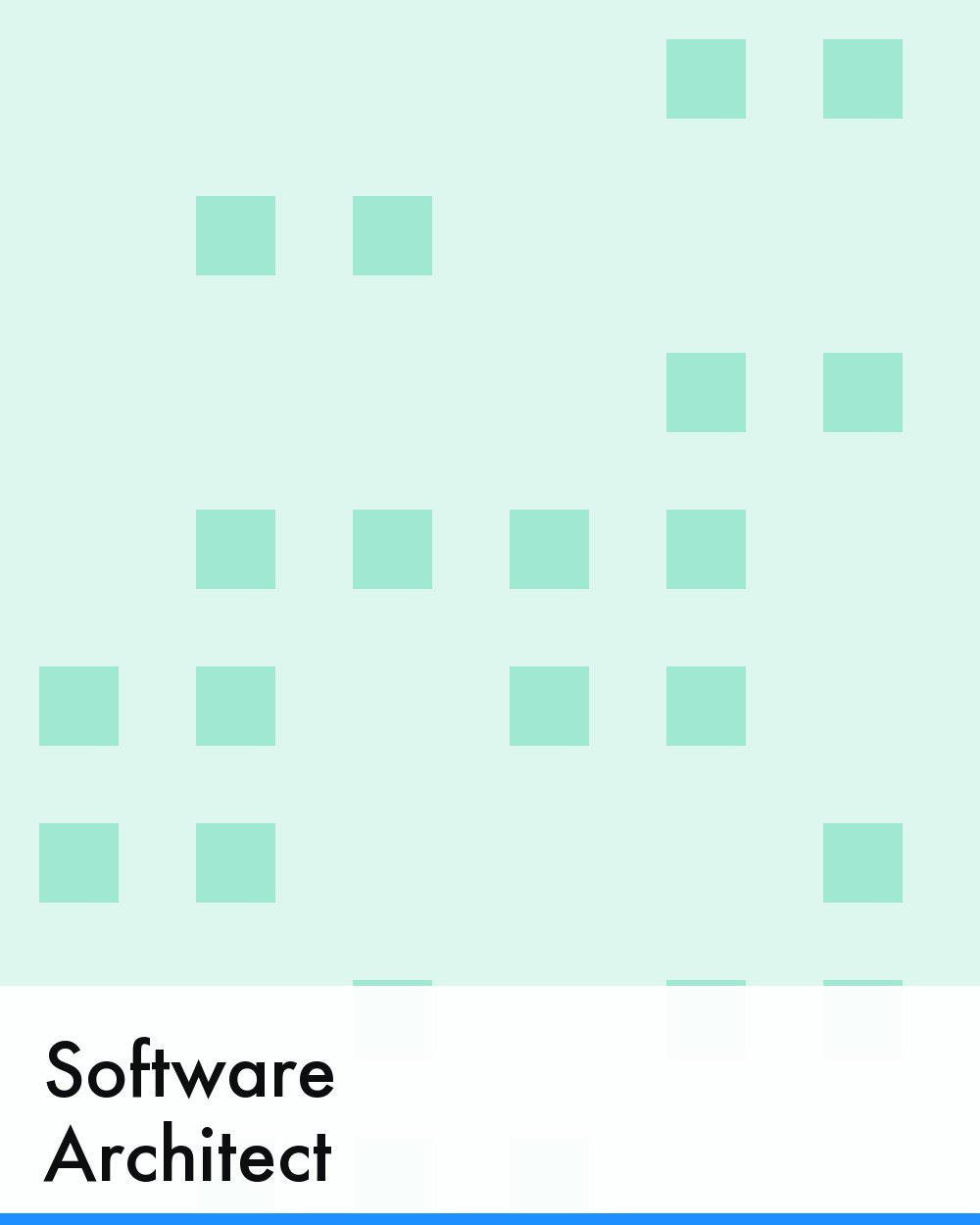Software Architect